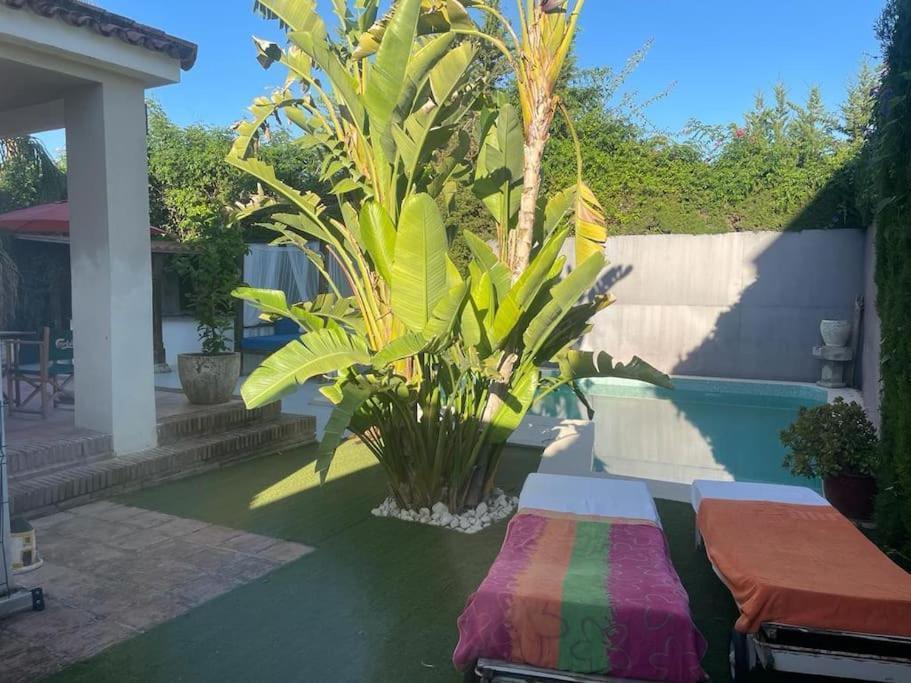 Atuaire Home Sevilla Μαϊρένα δελ Αλχαράφε Εξωτερικό φωτογραφία