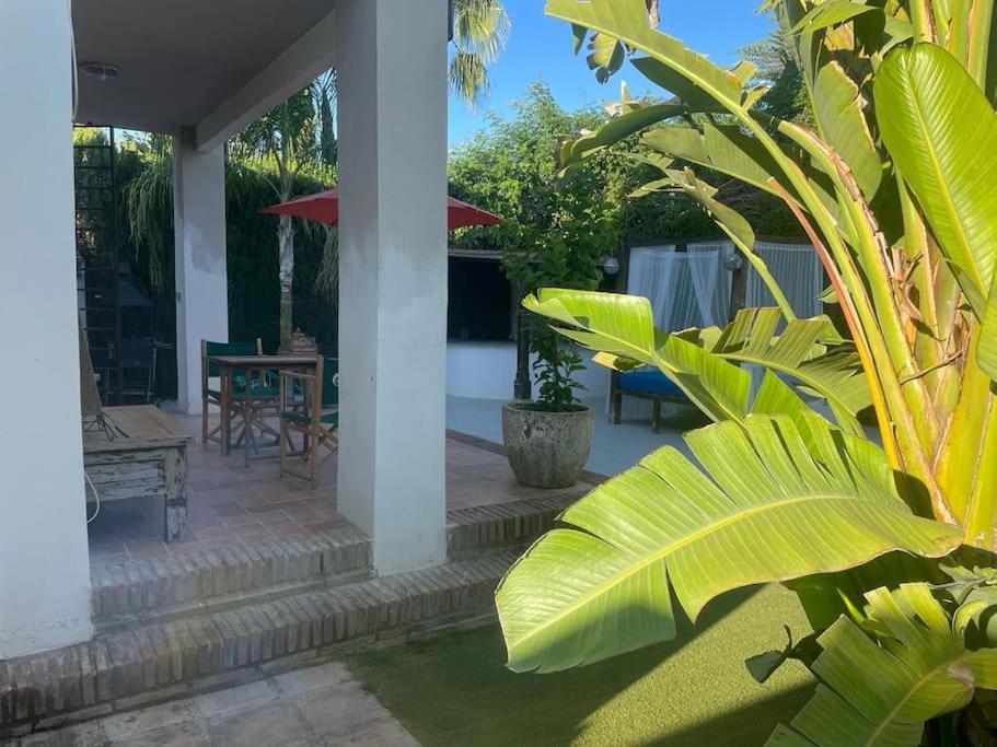 Atuaire Home Sevilla Μαϊρένα δελ Αλχαράφε Εξωτερικό φωτογραφία